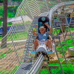 Two girls riding the mountain coaster at Massanutten Resort