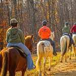 A group of guests horseback riding at Massanutten Resort