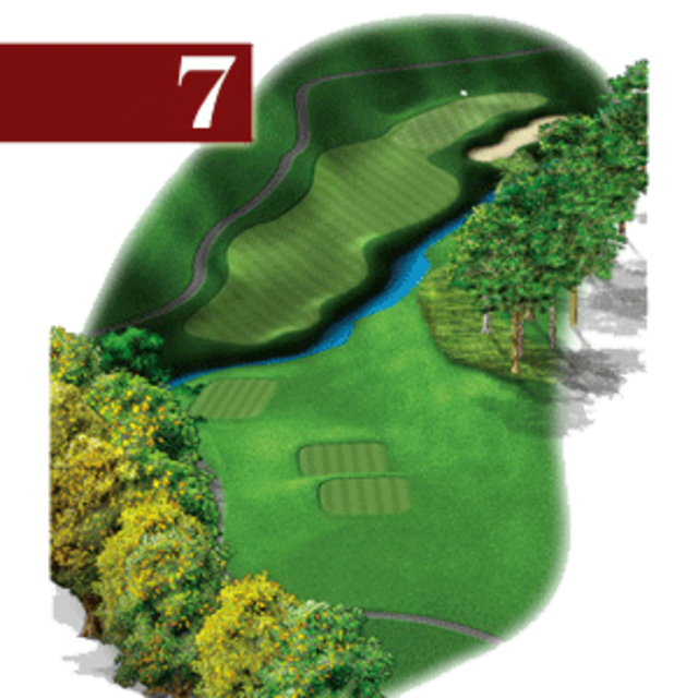 woodstone hole 7