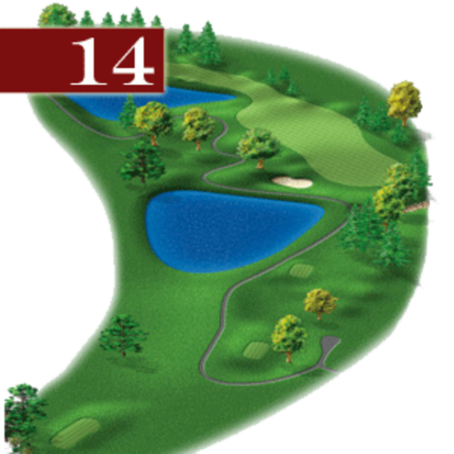 woodstone hole 14