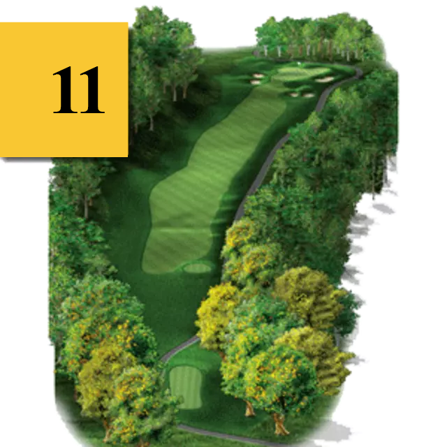 mtn greens hole 11