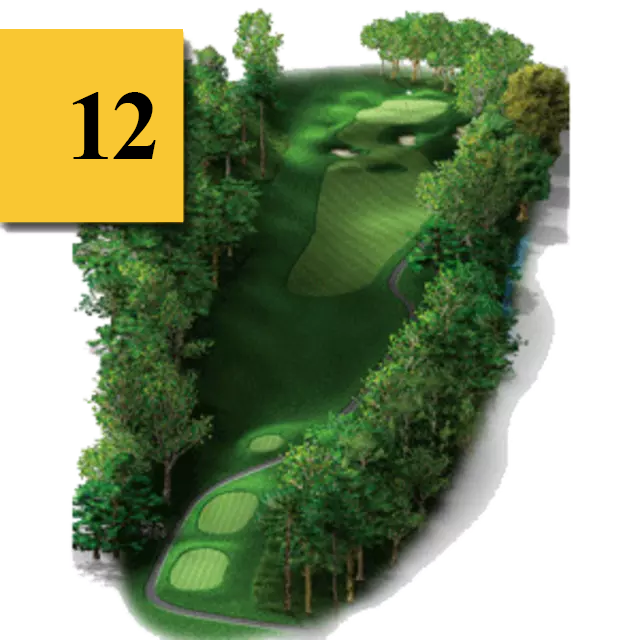 mtn greens hole 12