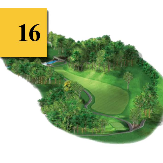 mtn greens hole 16