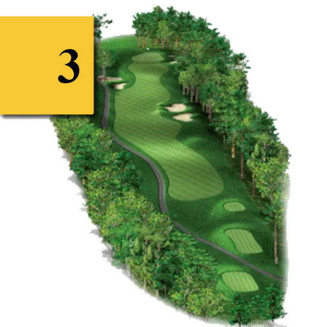 mtn greens hole 3