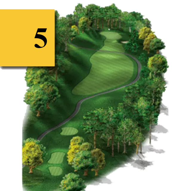 mtn greens hole 5